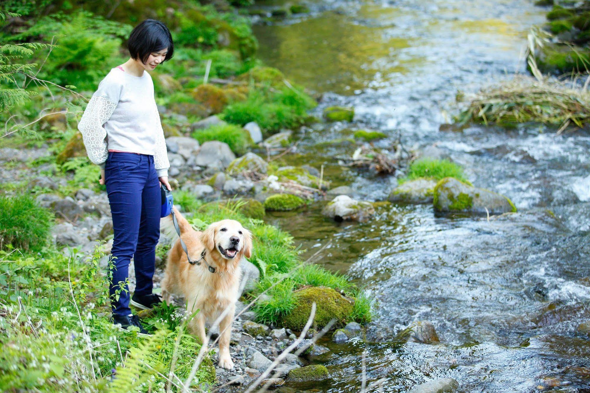 Izumigo Takayama Dog Paradise Hotel Takayama (Gifu) Exterior foto